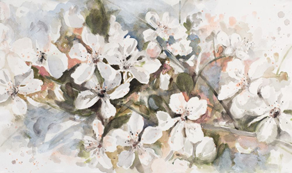 Picture of PEACH BLOSSOM