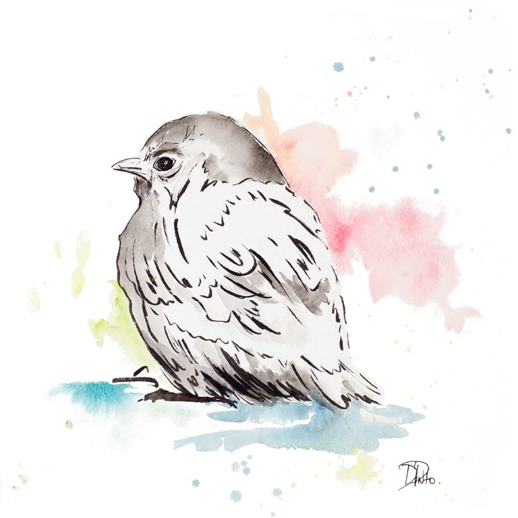 Picture of BIRD SKETCH I