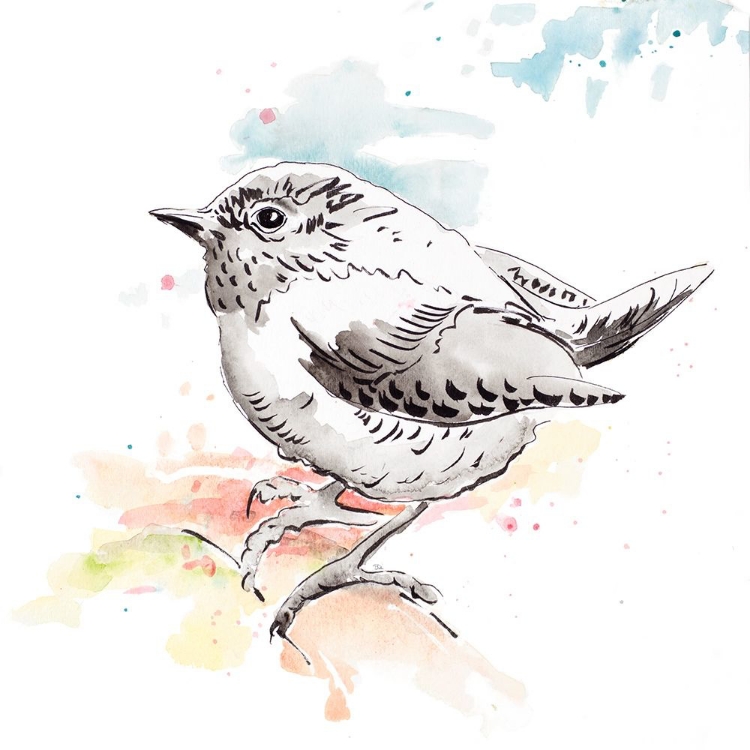 Picture of BIRD SKETCH II