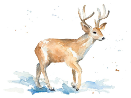 Picture of WATERCOLOR DEER