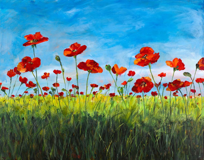 Picture of WILD POPPIES