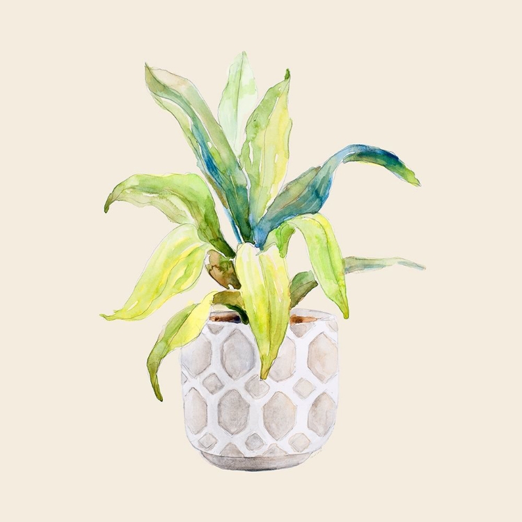 Picture of DECORATIVE POTTED PLANT I