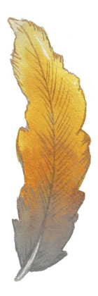 Picture of BOHEM FEATHER II