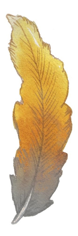 Picture of BOHEM FEATHER II