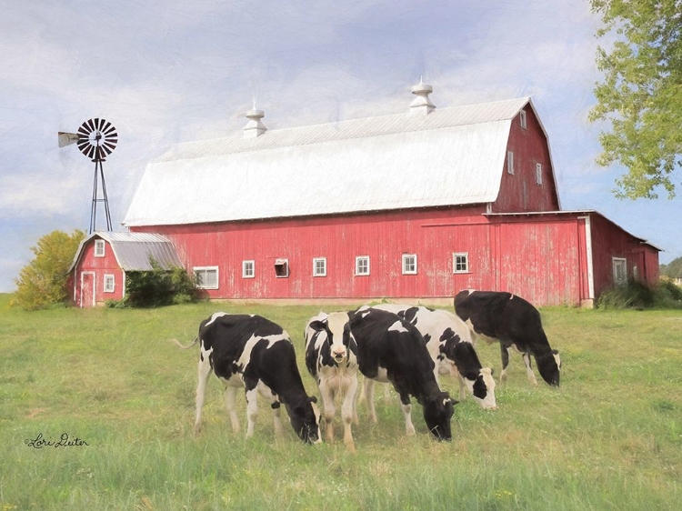 Picture of HENDERSON COWS   