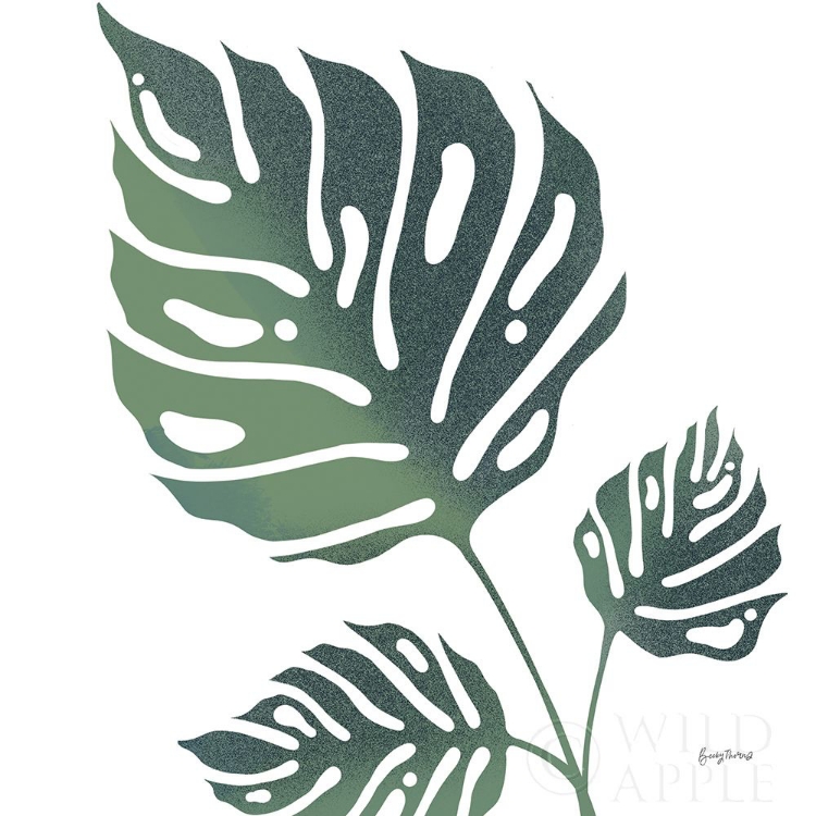 Picture of MONSTERA IV WHITE