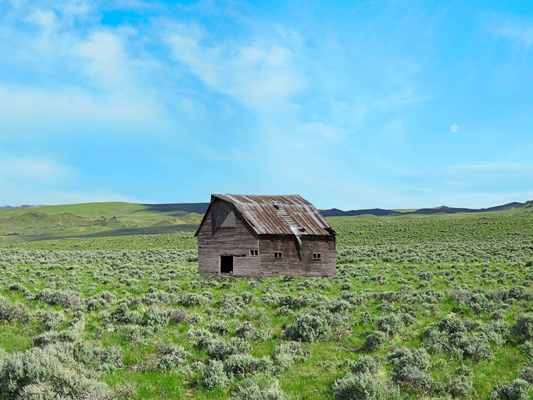 Picture of BARN SCENE III