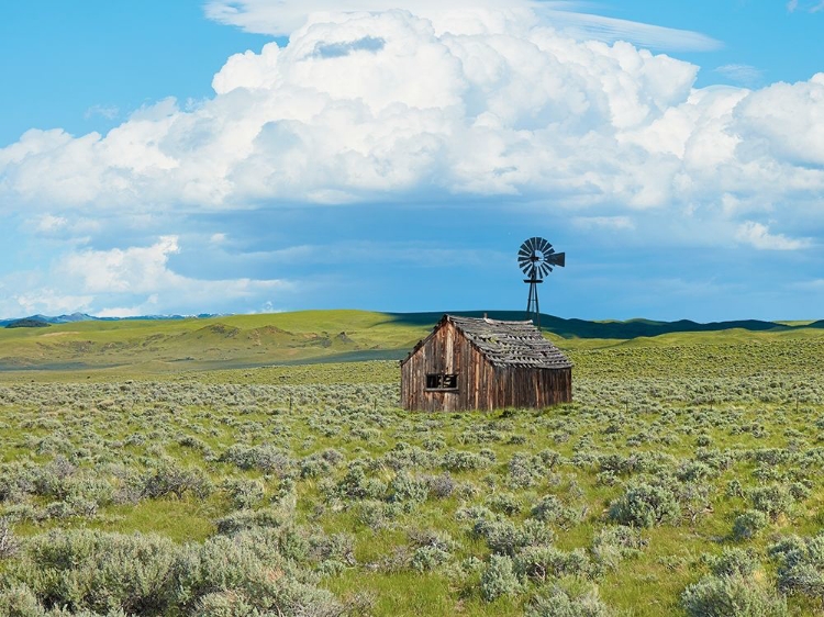 Picture of BARN SCENE IV