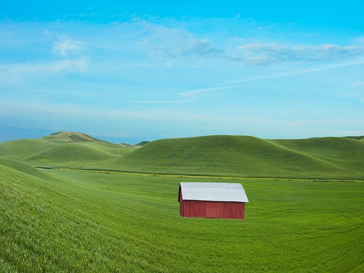 Picture of BARN SCENE VI