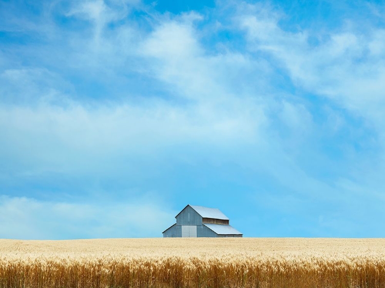 Picture of BARN SCENE IX