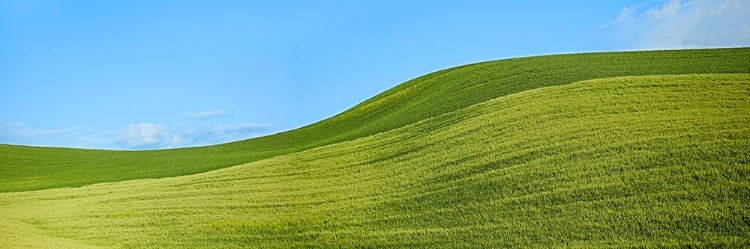 Picture of FARMSCAPE PANORAMA VIII