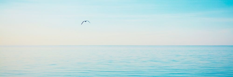 Picture of BEACHSCAPE PANORAMA XII