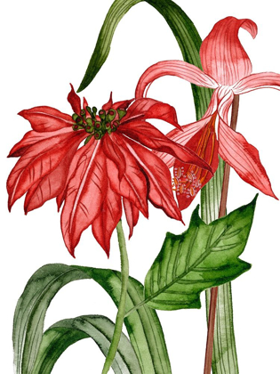 Picture of MERRY BLOSSOM II