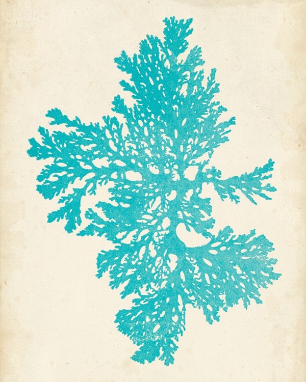 Picture of AQUAMARINE SEAWEED II