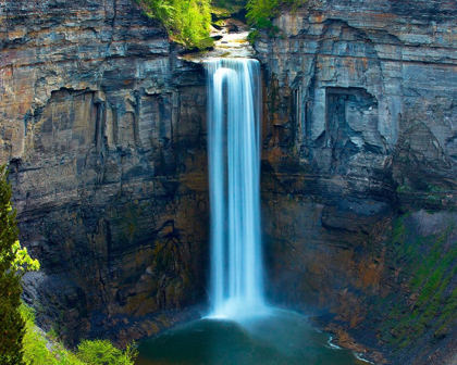 Picture of WATERFALL PORTRAIT I