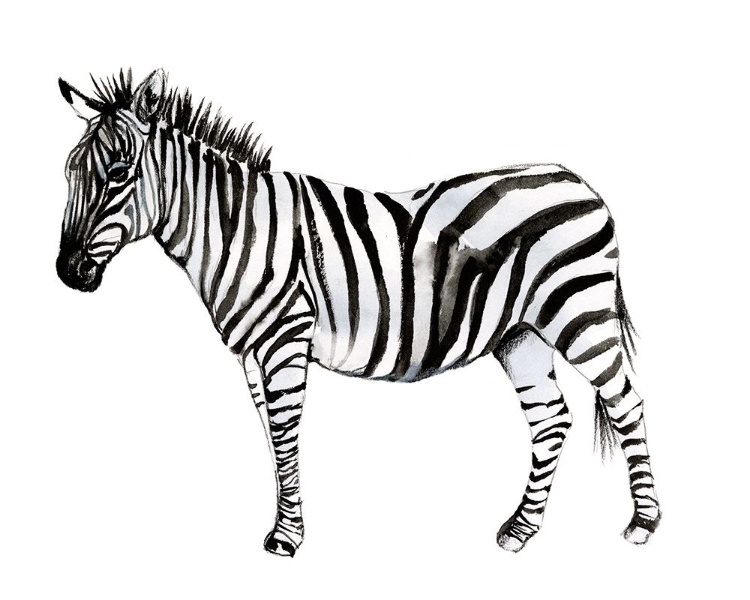 Picture of STANDING ZEBRA II