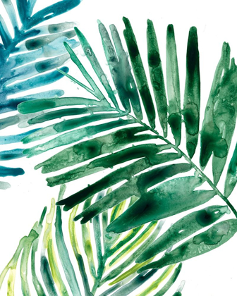 Picture of TROPICAL LEAF MEDLEY II