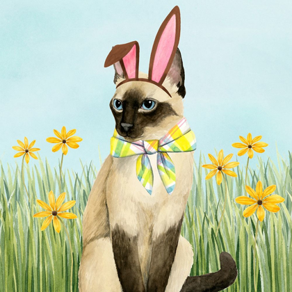 Picture of EASTER CATS II