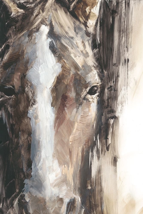 Picture of CROPPED EQUINE STUDY II