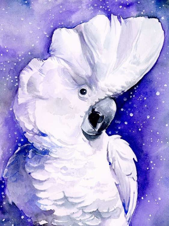 Picture of CELESTIAL COCKATOOS I