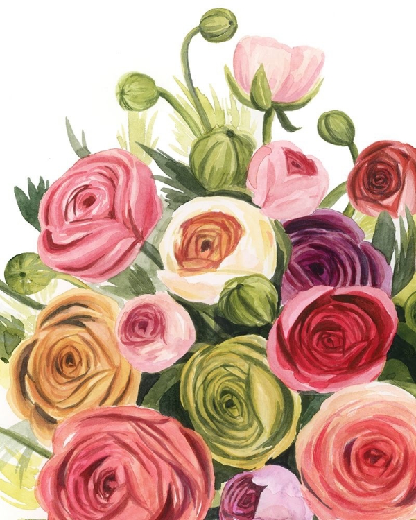 Picture of RANUNCULUS STUDY I