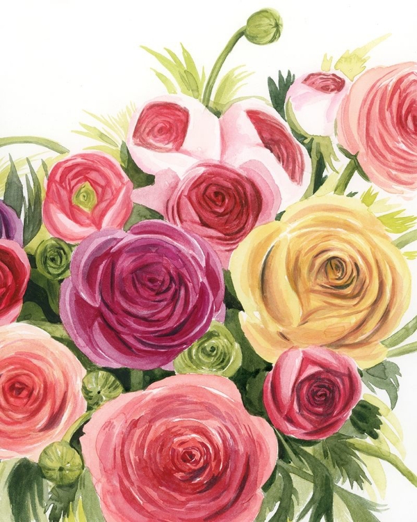 Picture of RANUNCULUS STUDY II