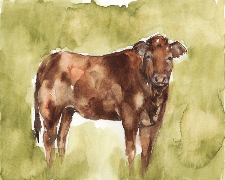 Picture of COW IN THE FIELD I