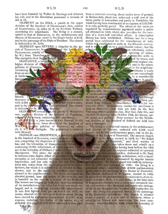 Picture of GOAT BOHEMIAN 1 BOOK PRINT