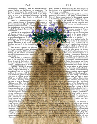 Picture of LLAMA BOHEMIAN 1 BOOK PRINT