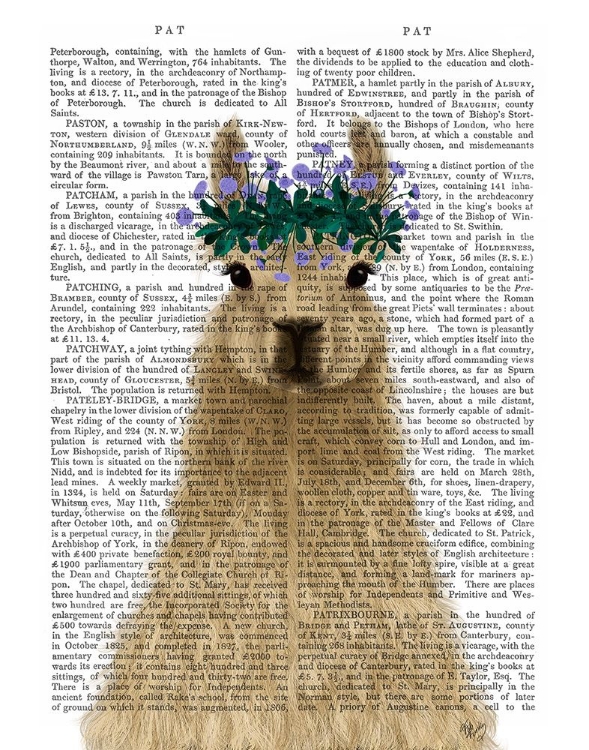 Picture of LLAMA BOHEMIAN 1 BOOK PRINT