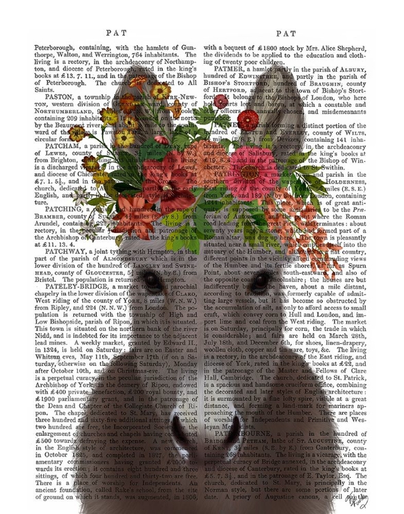 Picture of DONKEY BOHEMIAN 4 BOOK PRINT