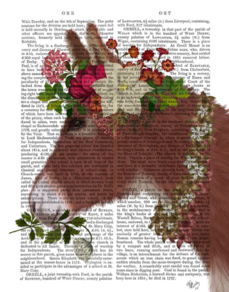 Picture of DONKEY BOHEMIAN 5 BOOK PRINT