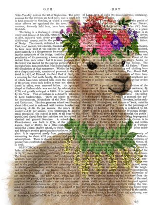 Picture of LLAMA BOHEMIAN 2 BOOK PRINT