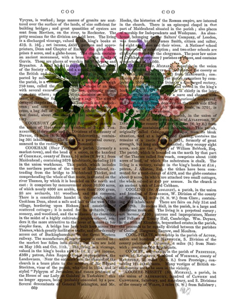 Picture of GOAT BOHEMIAN 3 BOOK PRINT