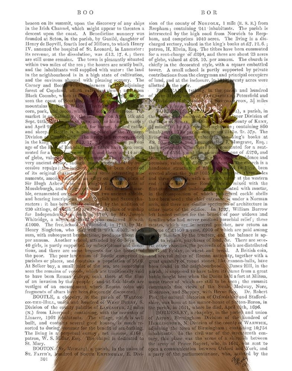 Picture of FOX BOHEMIAN BOOK PRINT