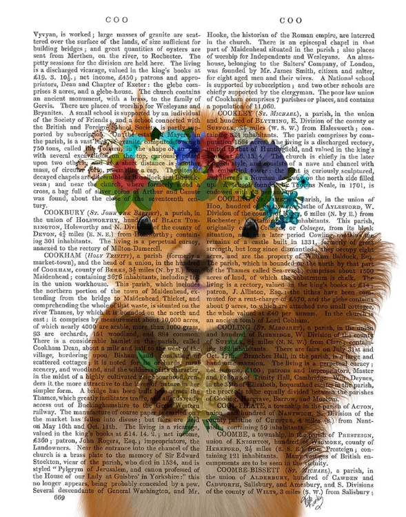 Picture of SQUIRREL BOHEMIAN BOOK PRINT