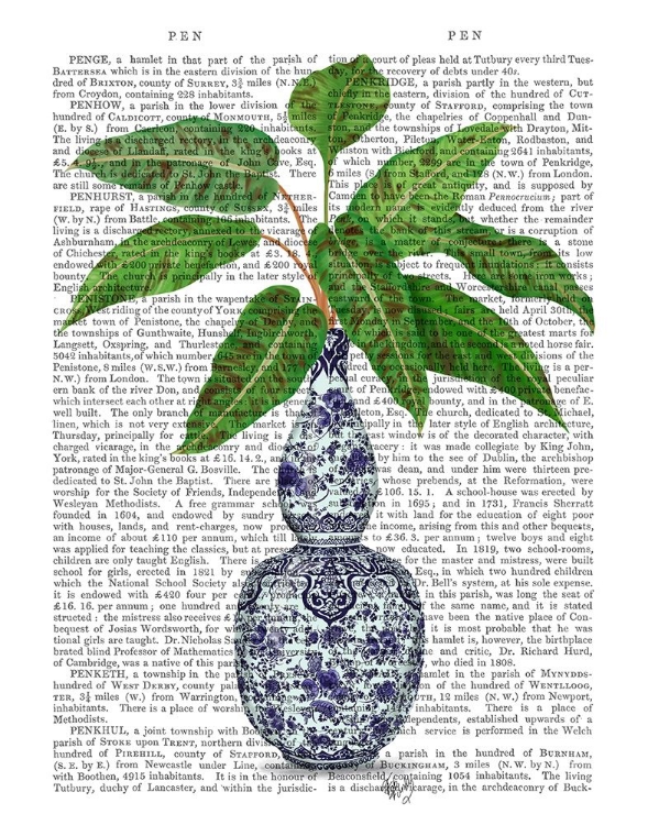 Picture of CHINOISERIE VASE 1, WITH PLANT BOOK PRINT