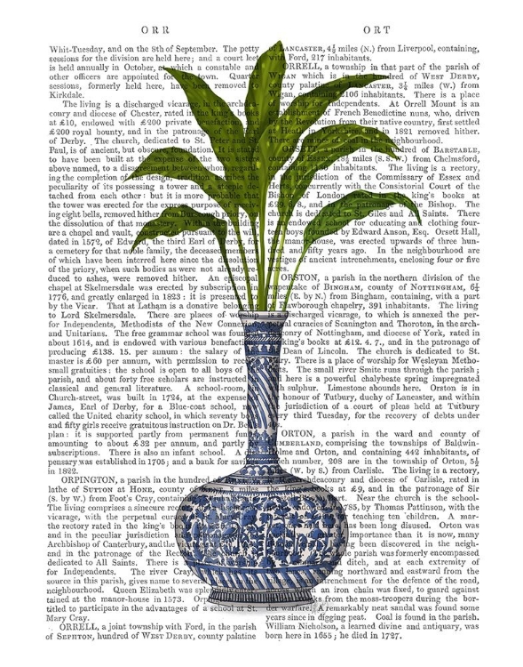 Picture of CHINOISERIE VASE 3, WITH PLANT BOOK PRINT