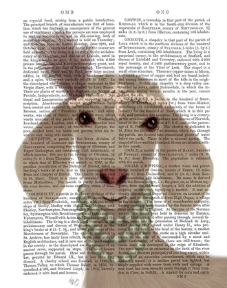 Picture of POSH WHITE GOAT BOOK PRINT