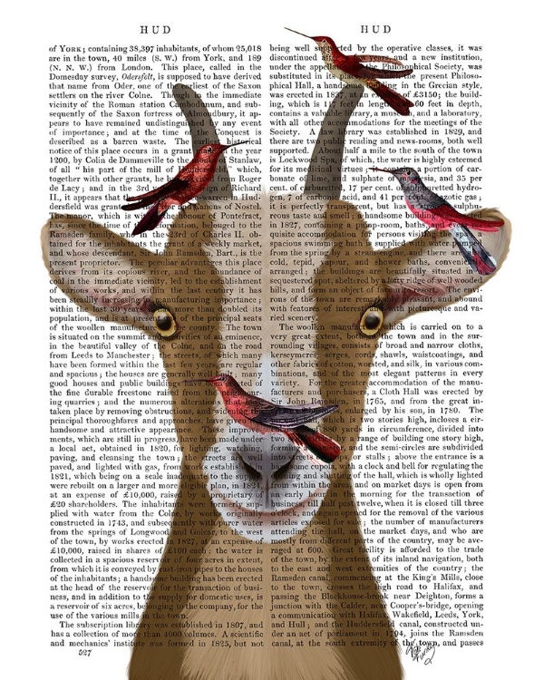 Picture of GOAT AND RED BIRDS BOOK PRINT