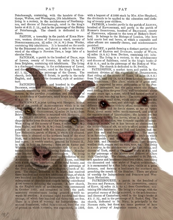 Picture of GOAT DUO, LOOKING AT YOU BOOK PRINT