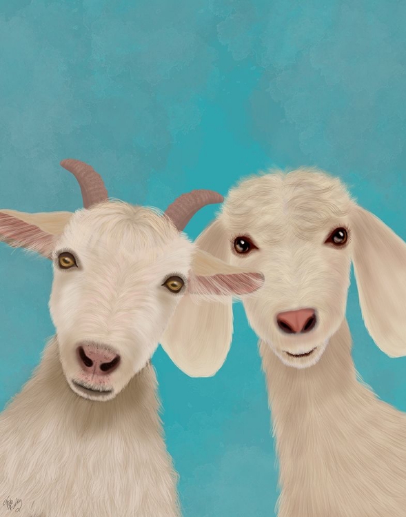 Picture of GOAT DUO, LOOKING AT YOU