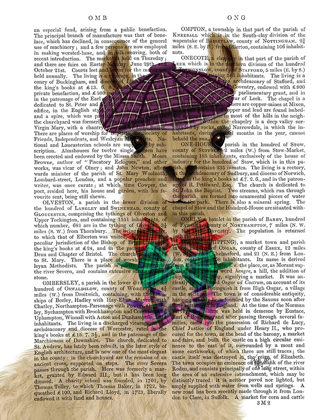 Picture of LLAMA DAPPER BOOK PRINT