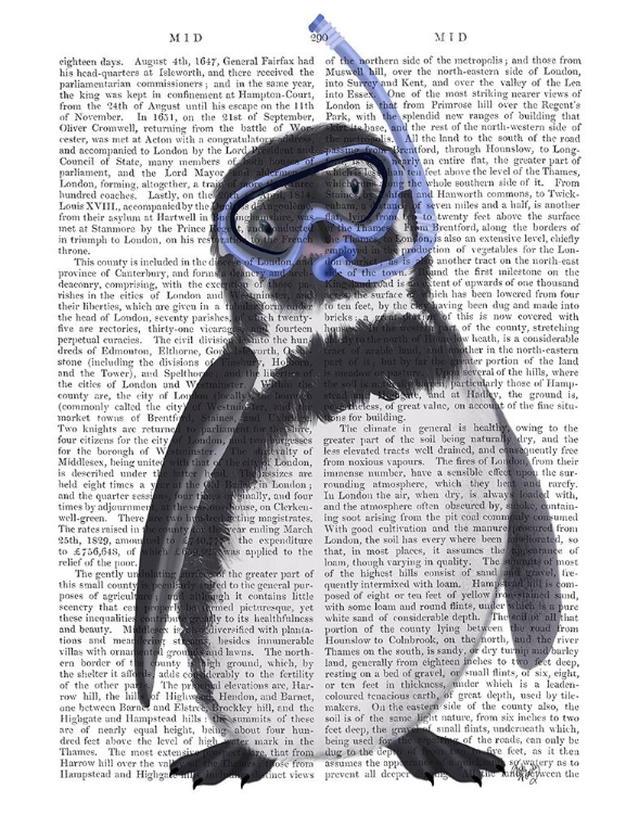 Picture of PENGUIN SNORKEL BOOK PRINT