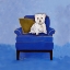 Picture of WESTIE ON BLUE