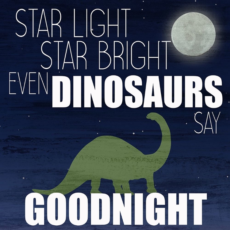 Picture of DINOSAURS SAY GOODNIGHT