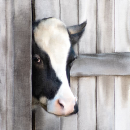 Picture of PEEKING COW