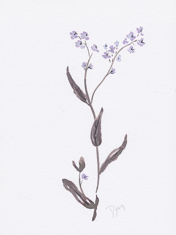 Picture of LAVENDER WILDFLOWERS I