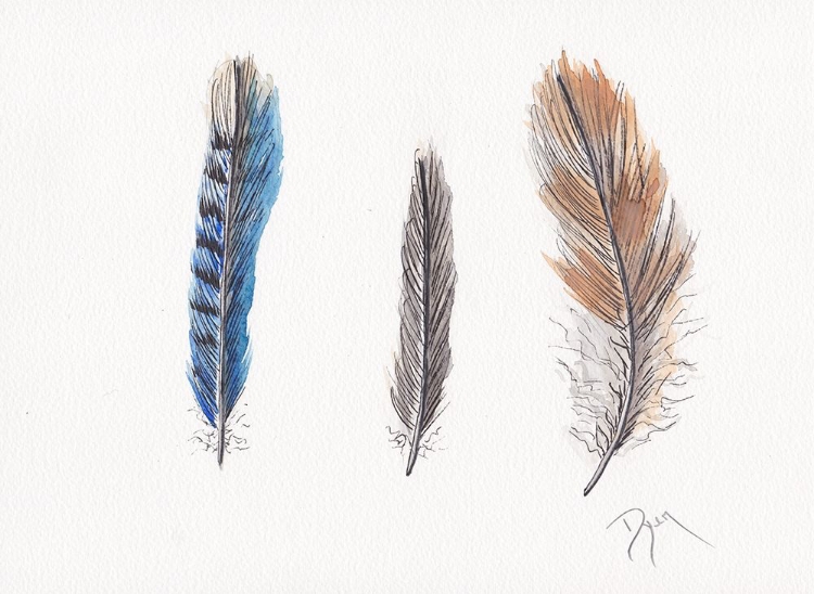 Picture of FEATHER COLLECTION II