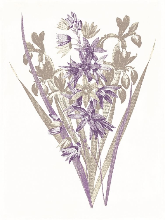 Picture of LAVENDER FLOWERS THREE